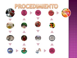 Pesar los
ingredient
es

Verter
los
ing.
restant
es

Deshidrat
ar la
grenetina

Agrega
r la
greneti
na

Dejar
enfriar

Verter el
agua
restante

Retirar
del
fuego

Enhari
nar

Espera
hasta
endure
cer

Agrega
r
azúcar
y miel

mezcla
r

Vaciar

Dejar
enfriar

Mezclar
todo

azucar
ar

Retirar

listo

 