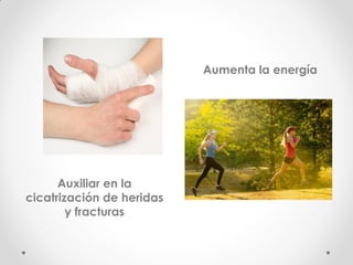 Auxiliar en la cicatrización de heridas y fracturas 
Aumenta la energía  