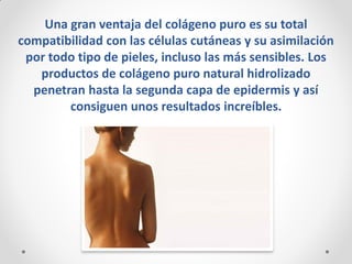 Una gran ventaja del colágeno puro es su total compatibilidad con las células cutáneas y su asimilación por todo tipo de pieles, incluso las más sensibles. Los productos de colágeno puro natural hidrolizado penetran hasta la segunda capa de epidermis y así consiguen unos resultados increíbles.  