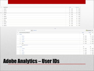 Adobe Analytics – User IDs
 