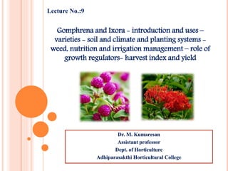 Gomphrena and Ixora - introduction and uses –
varieties - soil and climate and planting systems -
weed, nutrition and irrigation management – role of
growth regulators- harvest index and yield
Dr. M. Kumaresan
Assistant professor
Dept. of Horticulture
Adhiparasakthi Horticultural College
Lecture No.:9
 
