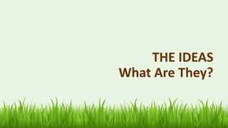 65
THE IDEAS
What Are They?
 