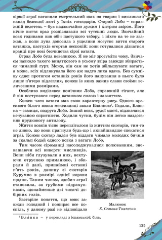 135
вірної зграї наганяли смертельний жах на тварин і викликали
напад безсилої люті у їхніх господарів. Старий Лобо – справ-
жній велетень – був надзвичайно дужим і хитрим звіром. Його
нічне виття враз розпізнавали всі тутешні люди. Звичайний
вовк годинами вив обіч пастушого табору, і ніхто на те не зва-
жав, а коли луна доносила з ущелини могутнє виття старого
ватажка, пастухів огортав неспокій: вони готувалися дізнатися
вранці про нові безчинства сірої ватаги.
Зграя Лобо була невеликою. Я не міг зрозуміти чому. Звича­
єм навколо такого виняткового в усьому звіра завжди збираєть-
ся чималий гурт. Може, він сам не хотів збільшувати ватаги,
а може, всіх відлякувала його аж надто лиха вдача. Без сумні-
ву одне: протягом останніх років його панування в нього було
лише п’ятеро підлеглих, кожен із яких зажив слави своїми ве-
личезними розмірами.
Особливо виділявся помічник Лобо, справжній гігант, але
й він поступався перед ватажком силою і завзяттям.
Кожен член ватаги мав свою характерну рису. Одного кра-
сивого білого вовка мексиканці звали Бланкою1
. Гадали, Блан-
ка – самиця, подруга Лобо. Інший вовк, рудої масті, відзначав­ся
нечуваною спритністю. Ходили чутки, буцім він легко наздога-
няв прудконогу антилопу.
Життя вовків тісно перепліталося із життям скотарів, тим-то
не дивно, що вони прагнули будь-що і якнайшвидше спекатися
зграї. Кожен скотар ладен був віддати чимало молодих бичків
за скальп бодай одного вовка з ватаги Лобо.
Тим часом сіроманці насолоджувалися полюванням, зне­
важаючи всі виверти мисливців.
Вони ніби глузували з них, нехту-
ючи отруєною приманкою, і  зби-
рали й  далі, принаймні останні
п’ять років, данину зі скотарів
Курумпо в  розмірі однієї корови
щодня. Таким чином, здобич зграї
становила, за грубими підрахун-
ками, щонайменше дві тисячі до-
бірних голів.
Застаріле поняття, що вовк за-
вжди голодний і  пожирає все по-
спіль, у даному разі не відповідало
1 
Б л а н к а   – у перекладі з іспанської: біла.
Малюнок
Е. Сетона-Томпсона
 