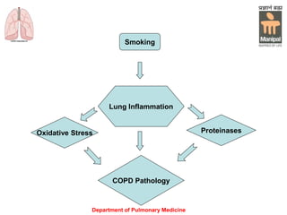 Department of Pulmonary Medicine
Smoking
Lung Inflammation
Oxidative Stress
COPD Pathology
Proteinases
 