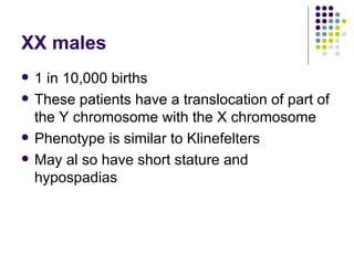 XX males 1 in 10,000 births These patients have a translocation of part of the Y chromosome with the X chromosome Phenotype is similar to Klinefelters May al so have short stature and hypospadias 