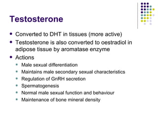 Testosterone Converted to DHT in tissues (more active) Testosterone is also converted to oestradiol in adipose tissue by aromatase enzyme Actions Male sexual differentiation Maintains male secondary sexual characteristics  Regulation of GnRH secretion Spermatogenesis Normal male sexual function and behaviour Maintenance of bone mineral density 
