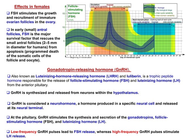 Gonadal hormone Biology Diagrams