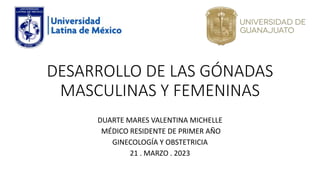 DESARROLLO DE LAS GÓNADAS
MASCULINAS Y FEMENINAS
DUARTE MARES VALENTINA MICHELLE
MÉDICO RESIDENTE DE PRIMER AÑO
GINECOLOGÍA Y OBSTETRICIA
21 . MARZO . 2023
 