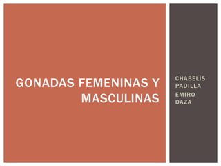 CHABELIS 
PADILLA 
EMIRO 
DAZA 
GONADAS FEMENINAS Y 
MASCULINAS 
 
