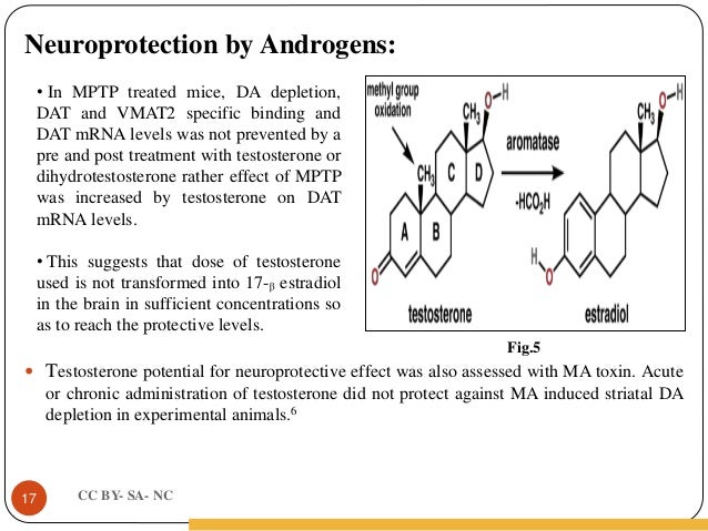 gonadocorticoids a potential treatment for parkinson's