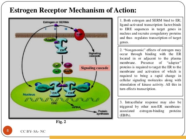 gonadocorticoids a potential treatment for parkinson's