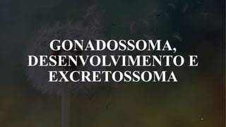 GONADOSSOMA,
DESENVOLVIMENTO E
EXCRETOSSOMA
1
 