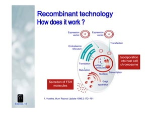 1. Howles. Hum Reprod Update 1996;2:172–191
Secretion of FSH
molecules
Incorporation
into host cell
chromosome
Maturation
Translation
Nucleus
apparatus
Golgi
DDDD
EEEE
Transcription
Endoplasmic
reticulum
Transfection
Expression
vector
Expression
vector
mRNA
produced
Esteves, 14
 
