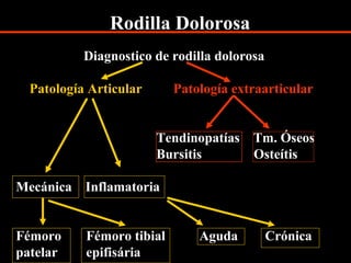 Rodilla Dolorosa
Diagnostico de rodilla dolorosa
Patología Articular Patología extraarticular
Tendinopatías Tm. Óseos
Bursitis Osteítis
Mecánica Inflamatoria
Fémoro Fémoro tibial Aguda Crónica
patelar epifisária
 
