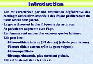 IntroductionIntroduction
-Elle est caractérisée par une destruction dégénérative desElle est caractérisée par une destruction dégénérative des
cartilages articulaires associée à des lésions prolifératives ducartilages articulaires associée à des lésions prolifératives du
tissus osseux sous jacent.tissus osseux sous jacent.
-La gonarthrose est la plus fréquente des arthroses.La gonarthrose est la plus fréquente des arthroses.
-Sa prévalence augmente avec l’âge.Sa prévalence augmente avec l’âge.
-Les femmes sont un peu plus exposées que les hommes.Les femmes sont un peu plus exposées que les hommes.
-Elle peut être :Elle peut être :
-Fémoro-tibiale interne (3/4 des cas) (rôle de genu varum).Fémoro-tibiale interne (3/4 des cas) (rôle de genu varum).
-Fémoro-tibiale externe (rôle du genu valgum).Fémoro-tibiale externe (rôle du genu valgum).
-Fémoro-patéllaireFémoro-patéllaire
-Bicompartimentale, plus rarement globale.Bicompartimentale, plus rarement globale.
-Elle est bilatérale dans 2/3 des cas.Elle est bilatérale dans 2/3 des cas.
 