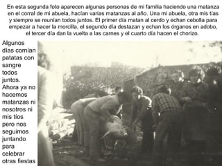 En esta segunda foto aparecen algunas personas de mi familia haciendo una matanza
en el corral de mi abuela, hacían varias matanzas al año. Una mi abuela, otra mis tías
y siempre se reunían todos juntos. El primer día matan al cerdo y echan cebolla para
empezar a hacer la morcilla, el segundo día destazan y echan los órganos en adobo,
el tercer día dan la vuelta a las carnes y el cuarto día hacen el chorizo.

Algunos
días comían
patatas con
sangre
todos
juntos.
Ahora ya no
hacemos
matanzas ni
nosotros ni
mis tíos
pero nos
seguimos
juntando
para
celebrar
otras fiestas

 