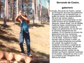 Servando de Castro,
gabarrero
Mi abuelo, Servando de Castro, nacido
en El Espinar de joven fue gabarrero
El gabarrero era un leñador que, a
golpe de hacha, iba desprendiendo
del pino las ramas viejas y
preparando minuciosamente un haz
sobre el lomo de la caballería para,
después, ladera abajo, con el caballo
hasta los topes, encaminarse a los
lugares donde poder vender la
carga.Los gabarreros se movían por
la comarca vendiendo por los
pueblos. En El Espinar el número de
gabarreros era muy numeroso.
Servando de Castro, mi abuelo, fue
uno de ellos. Todavía en edad
escolar salía al monte a cortar. La
vida de estos leñadores era sufrida
de verdad. Se jugaban la vida
subiendo a los pinos y cortando en
equilibrios inverosímiles. Mi abuelo
conoció en sus propias carnes
accidentes graves, caídas de los
árboles que fueron dejando cicatrices
en el cuerpo. Después se vino a vivir
a La Granja y fue trabajador de la
fábrica de cristal.

 