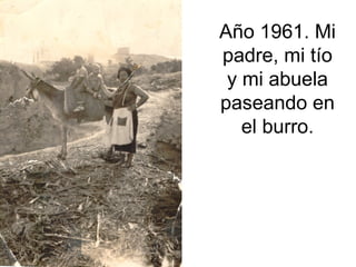 Año 1961. Mi
padre, mi tío
y mi abuela
paseando en
el burro.

 