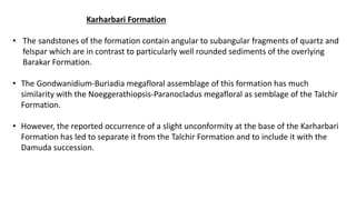 Karharbari Formation
• The sandstones of the formation contain angular to subangular fragments of quartz and
felspar which are in contrast to particularly well rounded sediments of the overlying
Barakar Formation.
• The Gondwanidium-Buriadia megafloral assemblage of this formation has much
similarity with the Noeggerathiopsis-Paranocladus megafloral as semblage of the Talchir
Formation.
• However, the reported occurrence of a slight unconformity at the base of the Karharbari
Formation has led to separate it from the Talchir Formation and to include it with the
Damuda succession.
 