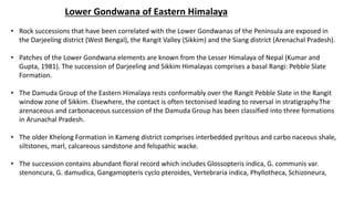 Lower Gondwana of Eastern Himalaya
• Rock successions that have been correlated with the Lower Gondwanas of the Peninsula are exposed in
the Darjeeling district (West Bengal), the Rangit Valley (Sikkim) and the Siang district (Arenachal Pradesh).
• Patches of the Lower Gondwana elements are known from the Lesser Himalaya of Nepal (Kumar and
Gupta, 1981). The succession of Darjeeling and Sikkim Himalayas comprises a basal Rangi: Pebble Slate
Formation.
• The Damuda Group of the Eastern Himalaya rests conformably over the Rangit Pebble Slate in the Rangit
window zone of Sikkim. Elsewhere, the contact is often tectonised leading to reversal in stratigraphy.The
arenaceous and carbonaceous succession of the Damuda Group has been classified into three formations
in Arunachal Pradesh.
• The older Khelong Formation in Kameng district comprises interbedded pyritous and carbo naceous shale,
siltstones, marl, calcareous sandstone and felspathic wacke.
• The succession contains abundant floral record which includes Glossopteris indica, G. communis var.
stenoncura, G. damudica, Gangamopteris cyclo pteroides, Vertebraria indica, Phyllotheca, Schizoneura,
 