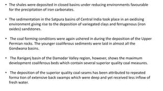 • The shales were deposited in closed basins under reducing environments favourable
for the precipitation of iron carbonates.
• The sedimentation in the Satpura basins of Central India took place in an oxidising
environment giving rise to the deposition of variegated clays and ferrugenous (iron
oxides) sandstones.
• The coal forming conditions were again ushered in during the deposition of the Upper
Permian rocks. The younger coaliferous sediments were laid in almost all the
Gondwana basins.
• The Raniganj basin of the Damodar Valley region, however, shows the maximum
development coaliferous beds which contain several superior quality coal measures.
• The deposition of the superior quality coal-seams has been attributed to repeated
forma tion of extensive back swamps which were deep and yet received less inflow of
fresh water.
 