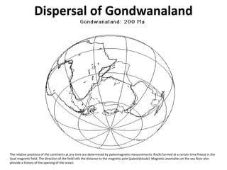 Dispersal of Gondwanaland
The relative positions of the continents at any time are determined by paleomagnetic measurements. Rocks formed at a certain time freeze in the
local magnetic field. The direction of the field tells the distance to the magnetic pole (paleolatitude). Magnetic anomalies on the sea floor also
provide a history of the opening of the ocean.
 