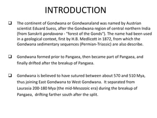INTRODUCTION
 The continent of Gondwana or Gondwanaland was named by Austrian
scientist Eduard Suess, after the Gondwana region of central northern India
(from Sanskrit gondavana - "forest of the Gonds“). The name had been used
in a geological context, first by H.B. Medlicott in 1872, from which the
Gondwana sedimentary sequences (Permian-Triassic) are also describe.
 Gondwana formed prior to Pangaea, then became part of Pangaea, and
finally drifted after the breakup of Pangaea.
 Gondwana is believed to have sutured between about 570 and 510 Mya,
thus joining East Gondwana to West Gondwana. It separated from
Laurasia 200-180 Mya (the mid-Mesozoic era) during the breakup of
Pangaea, drifting farther south after the split.
 