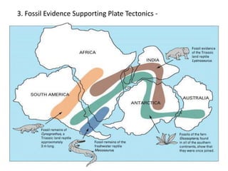 3. Fossil Evidence Supporting Plate Tectonics -
 