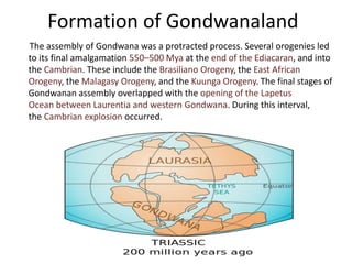 Formation of Gondwanaland
The assembly of Gondwana was a protracted process. Several orogenies led
to its final amalgamation 550–500 Mya at the end of the Ediacaran, and into
the Cambrian. These include the Brasiliano Orogeny, the East African
Orogeny, the Malagasy Orogeny, and the Kuunga Orogeny. The final stages of
Gondwanan assembly overlapped with the opening of the Lapetus
Ocean between Laurentia and western Gondwana. During this interval,
the Cambrian explosion occurred.
 