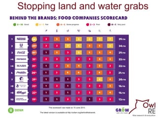 Stopping land and water grabs

11

 
