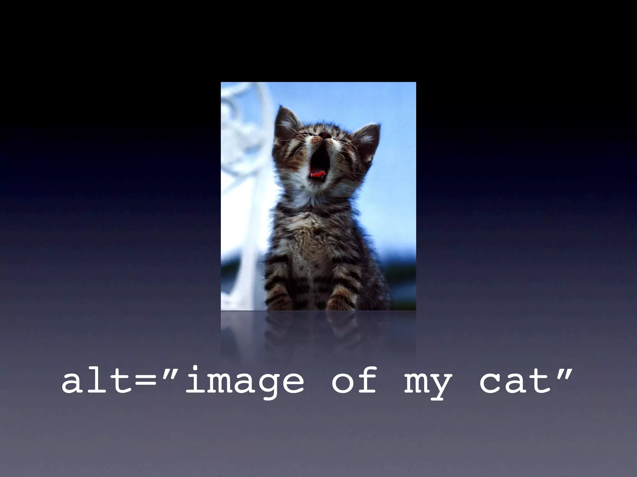 alt=”image of my cat”
 