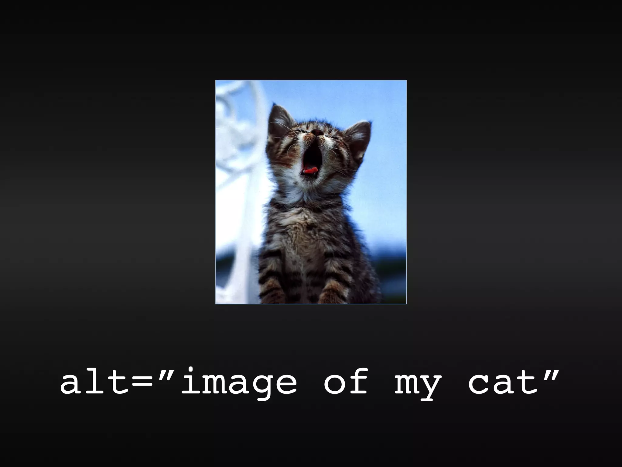 alt=”image of my cat”
 