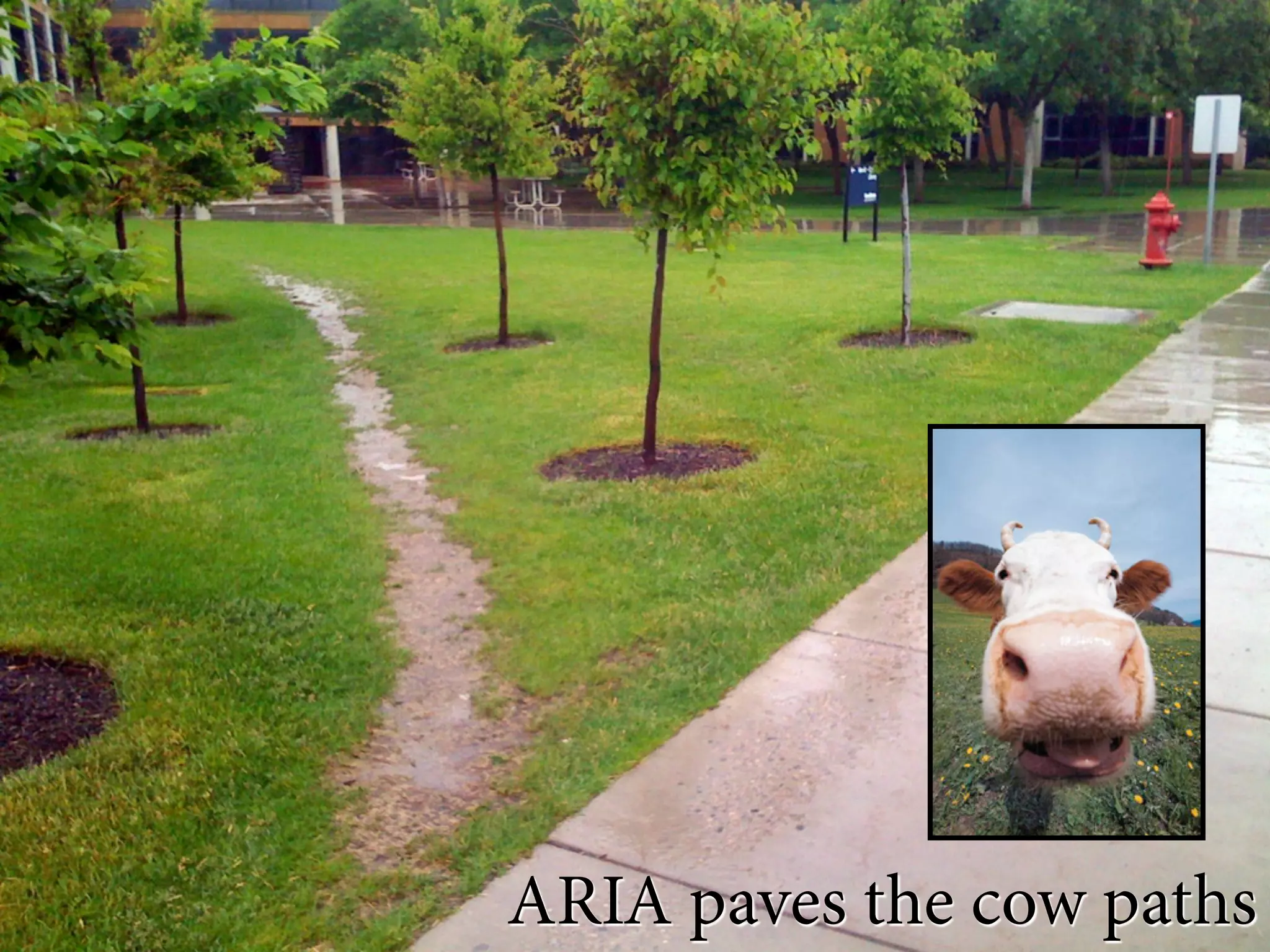 ARIA paves the cow paths
 