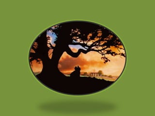 Fundraising: Plant All Day, Party All Night, Greenscape of Jacksonville