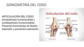 GONIOMETRÍA DEL CODO
ARTICULACIÓN DEL CODO:
(trocleartrosis humerocubital y
condiloartrosis humerorradial).
Presenta movimientos de flexión-
extensión y pronación-supinación.
 
