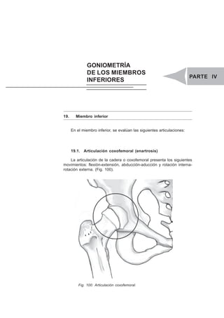 PARTE IV. GONIOMETRÍA DE LOS MIEMBROS INFERIORES 9 1
19. Miembro inferior
En el miembro inferior, se evalúan las siguientes articulaciones:
19.1. Articulación coxofemoral (enartrosis)
La articulación de la cadera o coxofemoral presenta los siguientes
movimientos: flexión-extensión, abducción-aducción y rotación interna-
rotación externa. (Fig. 100).
Fig. 100: Articulación coxofemoral.
GONIOMETRÍA
DE LOS MIEMBROS
INFERIORES
PARTE IV
 
