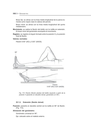 GONIOMETRÍA102
Brazo fijo: se alinea con la línea media longitudinal de la pierna to-
mando como reparo óseo la cabeza del peroné.
Brazo móvil: se alinea con la línea media longitudinal del quinto
metatarsiano.
Movimiento: se realiza la flexión del tobillo con la rodilla en extensión.
El brazo móvil del goniómetro acompaña el movimiento.
Registro: se registra el ángulo formado entre la posición 0 y la posición
final de flexión.
Valores normales:
Flexión 0-50° (AO) y 0-50° (AAOS).
Fig. 113: Flexión (flexión plantar) del tobillo izquierdo a partir de la
posición 0 (paciente en decúbito dorsal, goniómetro en 90°).
22.1.2. Extensión (flexión dorsal)
Posición: paciente en decúbito ventral con la rodilla en 90° de flexión.
(Fig. 114).
Alineación del goniómetro:
Goniómetro universal en 90°.
Eje: colocado sobre el maléolo externo.
 