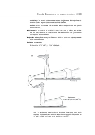 PARTE IV. GONIOMETRÍA DE LOS MIEMBROS INFERIORES 103
Brazo fijo: se alinea con la línea media longitudinal de la pierna to-
mando como reparo óseo la cabeza del peroné.
Brazo móvil: se alinea con la línea media longitudinal del quinto
metatarsiano.
Movimiento: se realiza la extensión del tobillo con la rodilla en flexión
de 90° para relajar el tríceps sural. El brazo móvil del goniómetro
acompaña el movimiento.
Registro: se registra el ángulo formado entre la posición 0 y la posición
final de extensión.
Valores normales:
Extensión: 0-30° (AO) y 0-20° (AAOS).
Fig. 114: Extensión (flexión dorsal) de tobillo derecho a partir de la
posición 0 (paciente en decúbito ventral con la rodilla flexionada en
90° para relajar el tríceps sural, goniómetro en 90°).
 