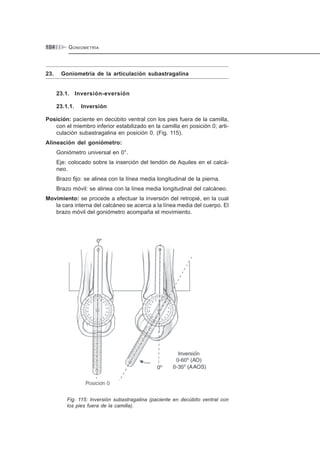 GONIOMETRÍA104
23. Goniometría de la articulación subastragalina
23.1. Inversión-eversión
23.1.1. Inversión
Posición: paciente en decúbito ventral con los pies fuera de la camilla,
con el miembro inferior estabilizado en la camilla en posición 0; arti-
culación subastragalina en posición 0. (Fig. 115).
Alineación del goniómetro:
Goniómetro universal en 0°.
Eje: colocado sobre la inserción del tendón de Aquiles en el calcá-
neo.
Brazo fijo: se alinea con la línea media longitudinal de la pierna.
Brazo móvil: se alinea con la línea media longitudinal del calcáneo.
Movimiento: se procede a efectuar la inversión del retropié, en la cual
la cara interna del calcáneo se acerca a la línea media del cuerpo. El
brazo móvil del goniómetro acompaña el movimiento.
Fig. 115: Inversión subastragalina (paciente en decúbito ventral con
los pies fuera de la camilla).
 