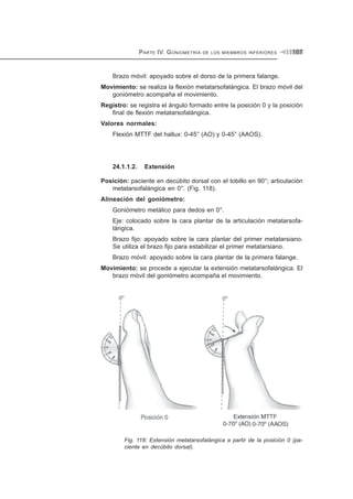 PARTE IV. GONIOMETRÍA DE LOS MIEMBROS INFERIORES 107
Brazo móvil: apoyado sobre el dorso de la primera falange.
Movimiento: se realiza la flexión metatarsofalángica. El brazo móvil del
goniómetro acompaña el movimiento.
Registro: se registra el ángulo formado entre la posición 0 y la posición
final de flexión metatarsofalángica.
Valores normales:
Flexión MTTF del hallux: 0-45° (AO) y 0-45° (AAOS).
24.1.1.2. Extensión
Posición: paciente en decúbito dorsal con el tobillo en 90°; articulación
metatarsofalángica en 0°. (Fig. 118).
Alineación del goniómetro:
Goniómetro metálico para dedos en 0°.
Eje: colocado sobre la cara plantar de la articulación metatarsofa-
lángica.
Brazo fijo: apoyado sobre la cara plantar del primer metatarsiano.
Se utiliza el brazo fijo para estabilizar el primer metatarsiano.
Brazo móvil: apoyado sobre la cara plantar de la primera falange.
Movimiento: se procede a ejecutar la extensión metatarsofalángica. El
brazo móvil del goniómetro acompaña el movimiento.
Fig. 118: Extensión metatarsofalángica a partir de la posición 0 (pa-
ciente en decúbito dorsal).
 