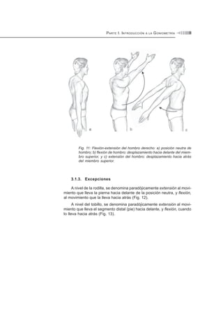 PARTE I. INTRODUCCIÓN A LA GONIOMETRÍA 9
Fig. 11: Flexión-extensión del hombro derecho: a) posición neutra de
hombro; b) flexión de hombro: desplazamiento hacia delante del miem-
bro superior, y c) extensión del hombro: desplazamiento hacia atrás
del miembro superior.
3.1.3. Excepciones
A nivel de la rodilla, se denomina paradójicamente extensión al movi-
miento que lleva la pierna hacia delante de la posición neutra, y flexión,
al movimiento que la lleva hacia atrás (Fig. 12).
A nivel del tobillo, se denomina paradójicamente extensión al movi-
miento que lleva el segmento distal (pie) hacia delante, y flexión, cuando
lo lleva hacia atrás (Fig. 13).
 