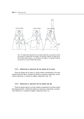 GONIOMETRÍA12
Fig. 15: Abducción-aducción de la cadera derecha: a) posición neutra
de cadera; b) abducción de cadera: el miembro inferior se aleja de la
línea media del cuerpo, y c) aducción de cadera: el miembro inferior
se acerca a la línea media del cuerpo.
3.2.3. Abducción y aducción de los dedos de la mano
Para los dedos de la mano, la línea media corresponde a la línea
media del tercer dedo. Cuando los dedos se acercan a este eje, se de-
nomina aducción, y cuando se alejan, abducción (Fig. 16).
3.2.4. Abducción y aducción de los dedos del pie
Para los dedos del pie, la línea media corresponde a la línea media
del segundo dedo. Cuando los dedos se acercan a esta línea, se deno-
mina aducción, y cuando se alejan, abducción (Fig. 17).
 