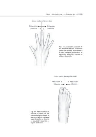PARTE I. INTRODUCCIÓN A LA GONIOMETRÍA 13
Fig. 16: Abducción-aducción de
los dedos de la mano: cuando los
dedos de la mano se acercan a
la línea media del tercer dedo, se
denomina aducción; cuando se
alejan, abducción.
Fig. 17: Abducción-aduc-
ción de los dedos del pie:
cuando los dedos del pie se
acercan a la línea media del
segundo dedo, se denomi-
na aducción; cuando se
alejan, abducción.
 