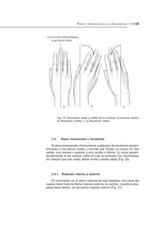 PARTE I. INTRODUCCIÓN A LA GONIOMETRÍA 15
Fig. 19: Desviación radial y cubital de la muñeca: a) posición neutra;
b) desviación cubital, y c) desviación radial.
3.3. Plano transversal u horizontal
El plano transversal u horizontal es cualquiera de los planos perpen-
diculares a los planos medio y coronal que dividen al cuerpo en dos
partes: una craneal o superior y otra caudal o inferior. Lo cruza perpen-
dicularmente el eje vertical, sobre el cual se producen los movimientos
de rotación que son vistos desde arriba o desde abajo (Fig. 20).
3.3.1. Rotación interna y externa
El movimiento en el plano transversal que desplaza una parte del
cuerpo hacia fuera se llama rotación externa, en cambio, cuando la des-
plaza hacia dentro, se denomina rotación interna (Fig. 21).
 