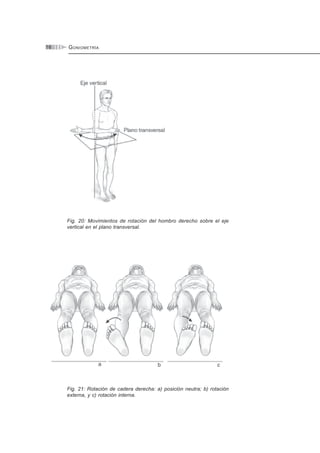 GONIOMETRÍA16
Fig. 20: Movimientos de rotación del hombro derecho sobre el eje
vertical en el plano transversal.
Fig. 21: Rotación de cadera derecha: a) posición neutra; b) rotación
externa, y c) rotación interna.
 