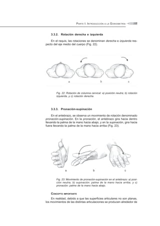 PARTE I. INTRODUCCIÓN A LA GONIOMETRÍA 17
3.3.2. Rotación derecha e izquierda
En el raquis, las rotaciones se denominan derecha e izquierda res-
pecto del eje medio del cuerpo (Fig. 22).
Fig. 22: Rotación de columna cervical: a) posición neutra; b) rotación
izquierda, y c) rotación derecha.
3.3.3. Pronación-supinación
En el antebrazo, se observa un movimiento de rotación denominado
pronación-supinación. En la pronación, el antebrazo gira hacia dentro
llevando la palma de la mano hacia abajo, y en la supinación, gira hacia
fuera llevando la palma de la mano hacia arriba (Fig. 23).
Fig. 23: Movimiento de pronación-supinación en el antebrazo: a) posi-
ción neutra; b) supinación: palma de la mano hacia arriba, y c)
pronación: palma de la mano hacia abajo.
CONCEPTO IMPORTANTE
En realidad, debido a que las superficies articulares no son planas,
los movimientos de las distintas articulaciones se producen alrededor de
 