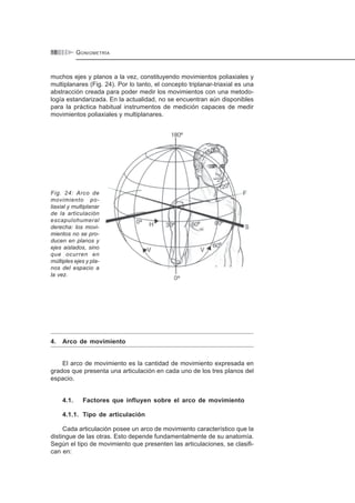 GONIOMETRÍA18
muchos ejes y planos a la vez, constituyendo movimientos poliaxiales y
multiplanares (Fig. 24). Por lo tanto, el concepto triplanar-triaxial es una
abstracción creada para poder medir los movimientos con una metodo-
logía estandarizada. En la actualidad, no se encuentran aún disponibles
para la práctica habitual instrumentos de medición capaces de medir
movimientos poliaxiales y multiplanares.
Fig. 24: Arco de
movimiento po-
liaxial y multiplanar
de la articulación
escapulohumeral
derecha: los movi-
mientos no se pro-
ducen en planos y
ejes aislados, sino
que ocurren en
múltiples ejes y pla-
nos del espacio a
la vez.
4. Arco de movimiento
El arco de movimiento es la cantidad de movimiento expresada en
grados que presenta una articulación en cada uno de los tres planos del
espacio.
4.1. Factores que influyen sobre el arco de movimiento
4.1.1. Tipo de articulación
Cada articulación posee un arco de movimiento característico que la
distingue de las otras. Esto depende fundamentalmente de su anatomía.
Según el tipo de movimiento que presenten las articulaciones, se clasifi-
can en:
 