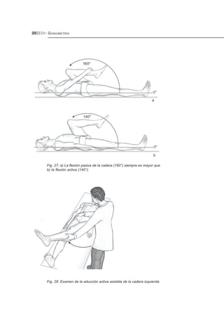 GONIOMETRÍA24
Fig. 27: a) La flexión pasiva de la cadera (160°) siempre es mayor que
b) la flexión activa (140°).
Fig. 28: Examen de la aducción activa asistida de la cadera izquierda.
 