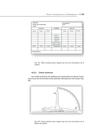 PARTE I. INTRODUCCIÓN A LA GONIOMETRÍA 49
Fig. 58: Tabla numérica para registro del arco de movimiento de la
cadera.
10.8.2. Cartas pictóricas
Las cartas pictóricas son gráficos que representan en figuras huma-
nas el arco de movimiento de las distintas articulaciones del cuerpo (Fig.
59).
Fig. 59: Carta pictórica para registro del arco de movimiento de la
flexión de cadera.
 