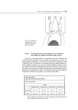 PARTE I. INTRODUCCIÓN A LA GONIOMETRÍA 51
Fig. 61: Examen
comparativo de la
rotación interna de
ambas caderas.
10.9.2. Comparación del valor obtenido en la medición
con tablas de sujetos de similar edad y sexo
Cuando no se puede realizar la comparación del valor obtenido con
el del miembro opuesto, como sucede por ejemplo en el caso de
espasticidad o amputación, se recurre a la utilización de tablas por sexo
y edad (Fig. 62). En general, los resultados de estas tablas difieren en-
tre los distintos autores, y se hace muy difícil establecer valores norma-
les, debido a la gran biodiversidad de las razas humanas. En esta obra,
se toman como valores normales los descritos por la Asociación para el
Estudio de la Osteosíntesis (AO) y la Academia Americana de Cirujanos
Ortopédicos (AAOS) que pueden o no coincidir entre ellos.
Fig. 62: Ejemplo de tabla de arco de movimiento del tobillo para com-
parar sujetos de similar edad y sexo.
 